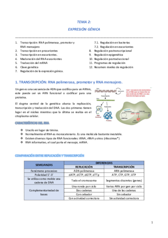 GN-Tema-2.pdf