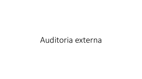 Auditoria-externa.pdf