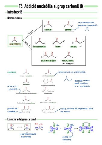 T6-Addicio-nucleofila-al-grup-carbonil-I.pdf
