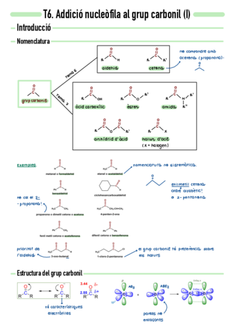T6-Addicio-nucleofila-al-grup-carbonil-I.pdf