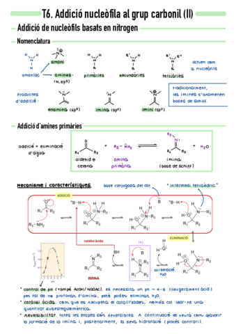 T6-Addicio-nucleofila-al-grup-carbonil-II.pdf