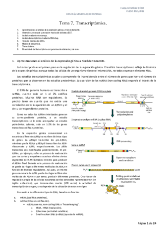 Tema-7.pdf
