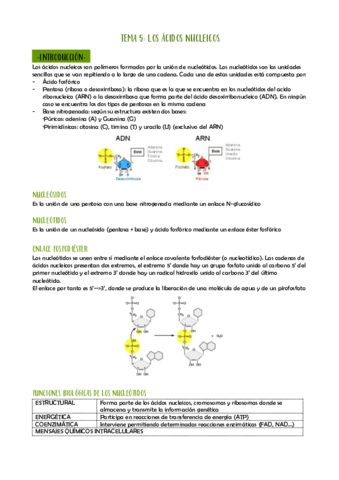 TEMA-5-LOS-ACIDOS-NUCLEICOS.pdf