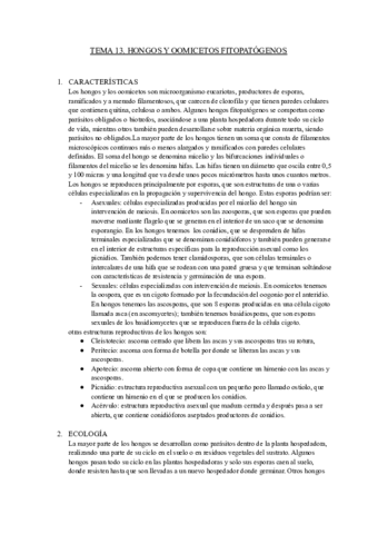 TEMA-13-FITO.pdf
