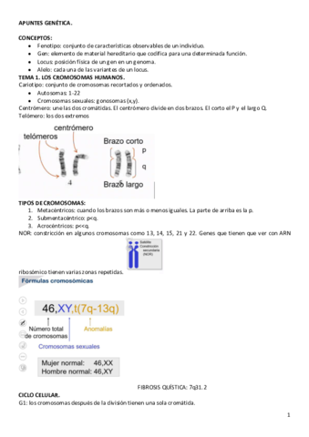 APUNTES-GENETICA.pdf