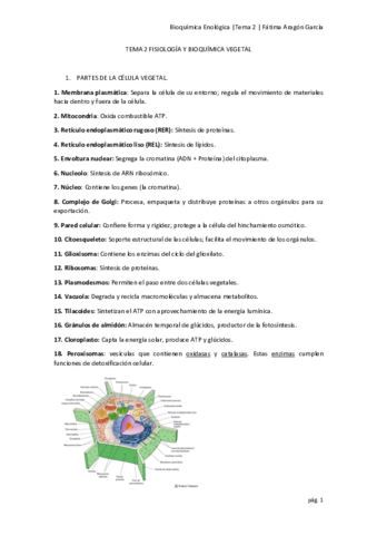 TEMA 2 FISIOLOGÍA Y BIOQUÍMICA VEGETAL.pdf