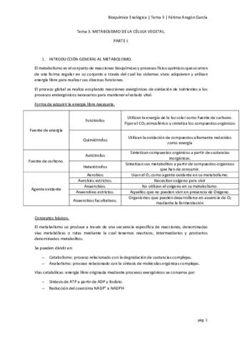 Tema 3.pdf