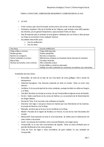 Tema 4.pdf