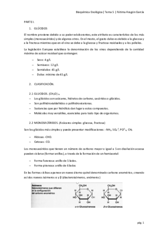 Tema 5.pdf