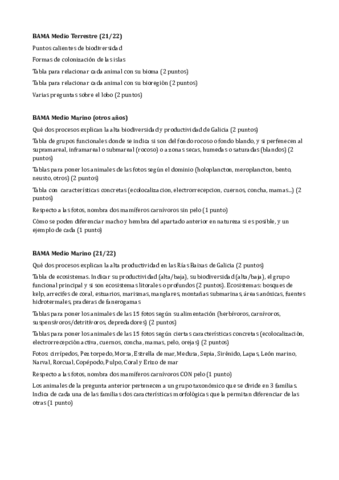 BAMA-Teoria-Examenes.pdf