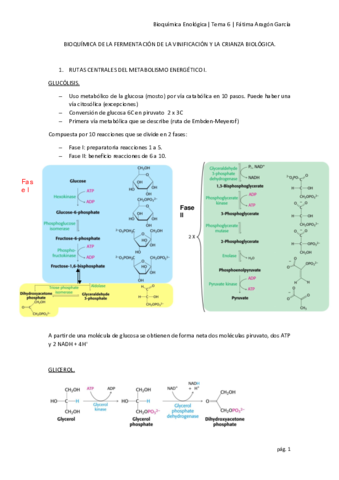 tema 6.pdf