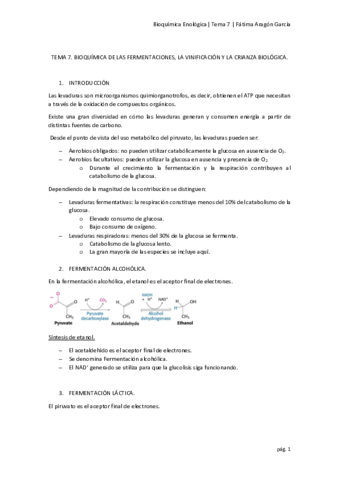 Tema 7.pdf