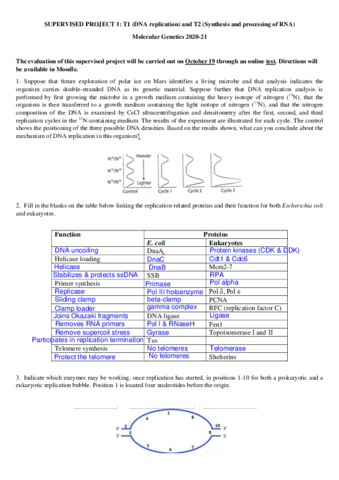 XM-Question-Set-1-Solved-20-21.pdf