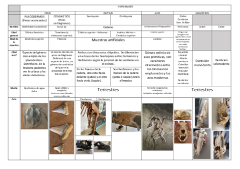 Practica-5-Paleo-Vertebrados-y-Paleobotanica.pdf