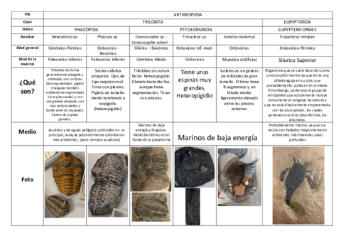 Practica-4-Paleo-Artropodos-Equinodermos-y-Graptolitos.pdf