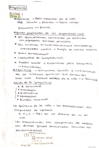 Apuntes-Bioquimica-Bloques-1-2-3.pdf