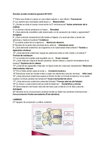 Examen-prueba-anatomia-general-201221.pdf