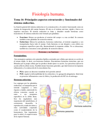 Fisiologia-humana-2-parcial-mio.pdf