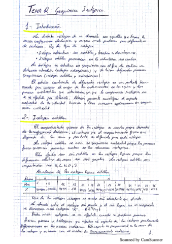 Tema 12 Geoquimica.pdf