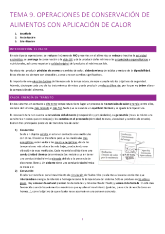 OPIA-Tema-9.pdf