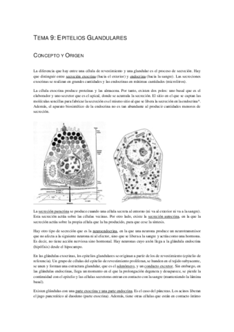 Tema-9-Epitelios-Glandulares-C-definitivos.pdf