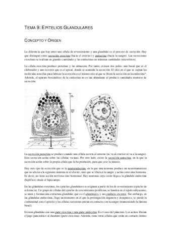 Tema-9-Epitelios-Glandulares-C-definitivos.pdf
