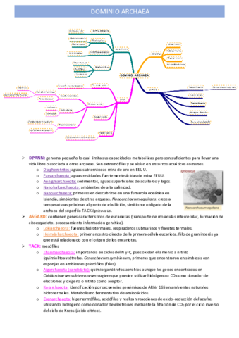 archaeas.pdf