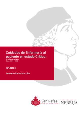 Criticos-I-Apuntes-PDF.pdf