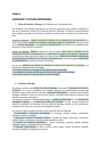 Planificacion-resumen-T6.pdf