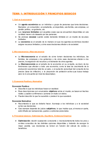 TEMA-1-INTRODUCCION-Y-PRINCIPIOS-BASICOS.pdf