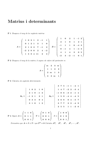 ProblemesdeMatriusiDeterminants.pdf