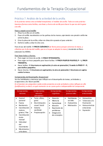 Práctica 7. Análisis de la actividad de la arcilla..pdf