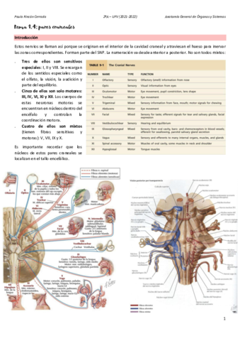 Anato-T1D.pdf