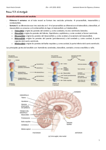 Anato-T1C.pdf