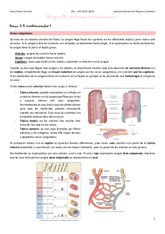 Anato-T3A.pdf