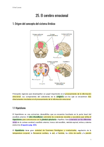Neurociencia.pdf