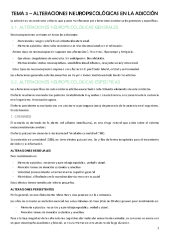 T3-ASPECTOS-COGNITIVOS.pdf