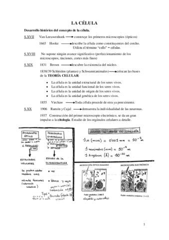 La-celula.pdf