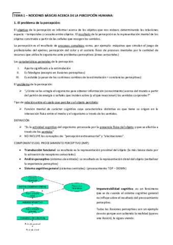 APUNTES-FINAL-PERCEPCION-Humberto.pdf