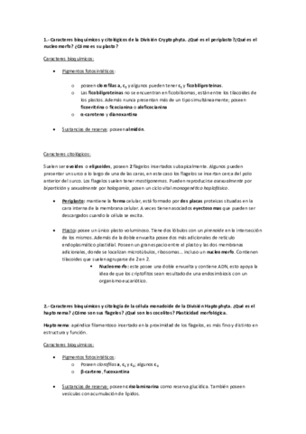 Posibles-preguntas-examen-final.pdf