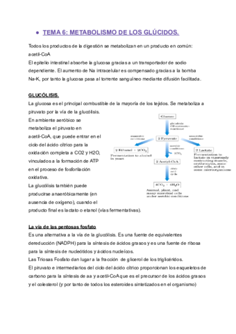 TEMA-6-BQ-II.pdf