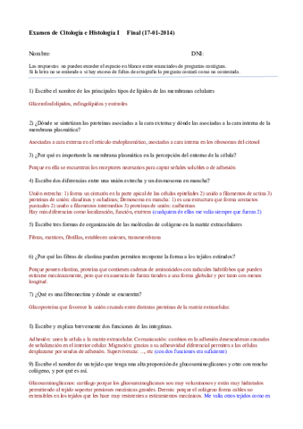 cito-examen-final.pdf