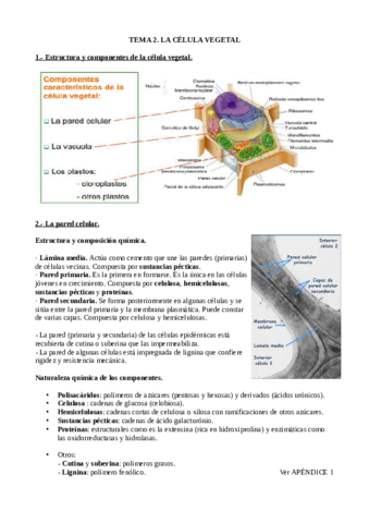 Tema-2-Biologia-Vegetal.pdf