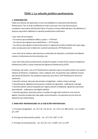 DERECHO-PENITENCIARIO-APUNTES-t1-17.pdf