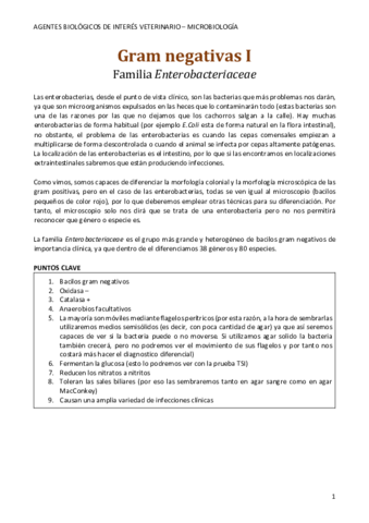 Gram-negativas-I-.pdf