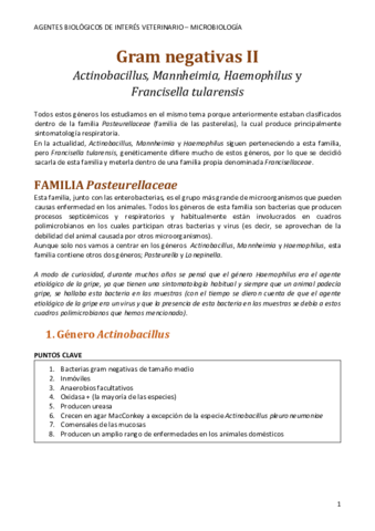 Gram-negativas-II.pdf
