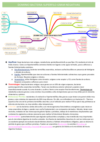 bacterias-gram-negativas.pdf