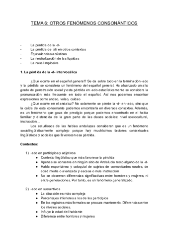 TEMA-6-OTROS-FENOMENOS-CONSONANTICOS.pdf