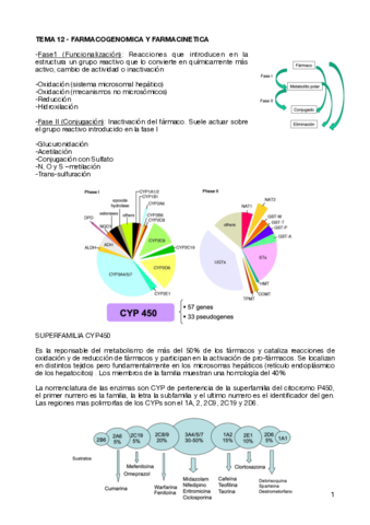 TEMA-12-FARMACOGENOMICA-Y-FARMACINETICA.pdf