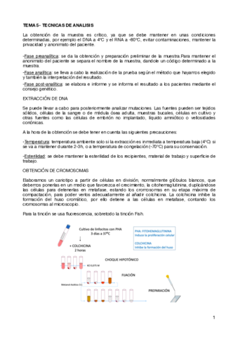 TEMA-5-TECNICAS-DE-ANALISIS-.pdf